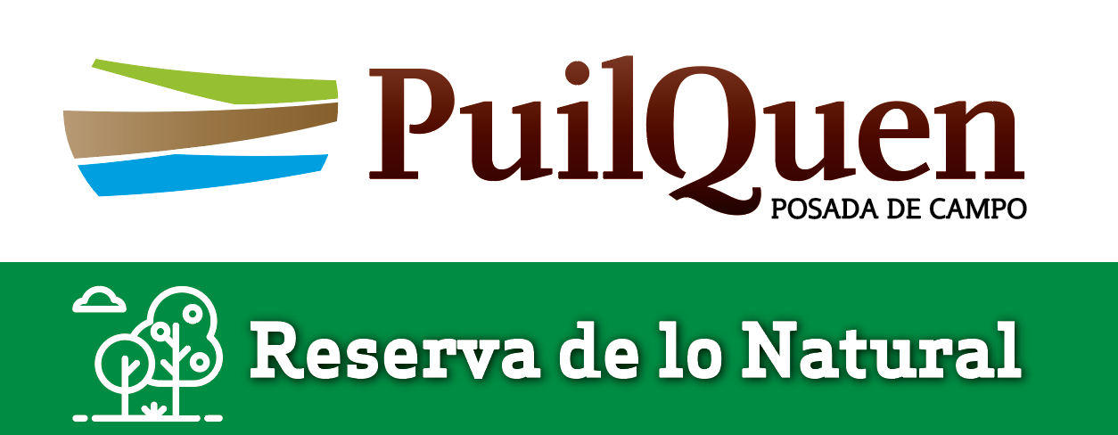 Puilquen Posada de Campo